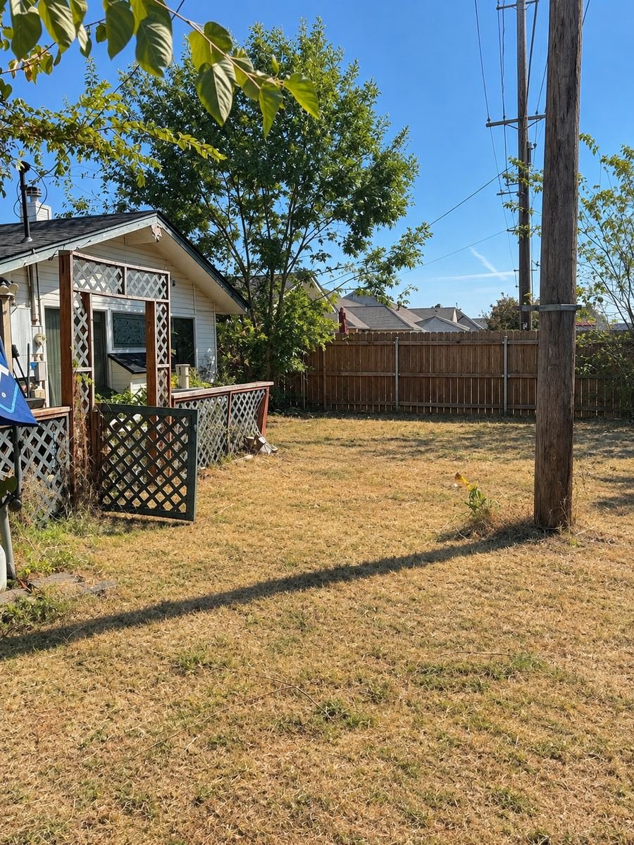 After: backyard cleared, trimmed and mowed